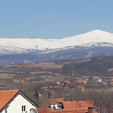 Apartman "Vienna" Соко Баня Екстериор снимка
